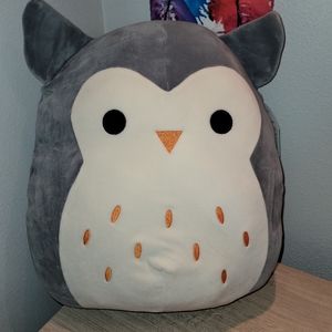 Hoot 16" Squishmallow